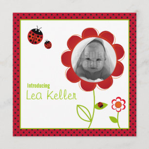 Cartão de anúncio de nascimento de Ladybug