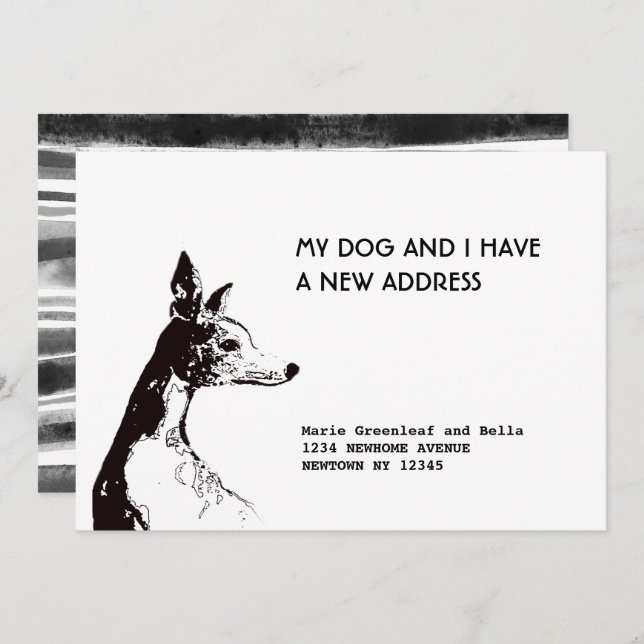 Cartão de Anúncio Plano (Frente/Verso)