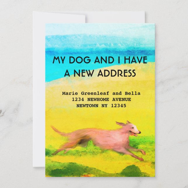 Cartão de Anúncio Plano (Frente)