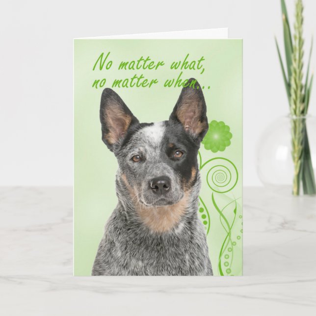 Cartão de Apoio e Amor a Cães Bovinos (Frente)
