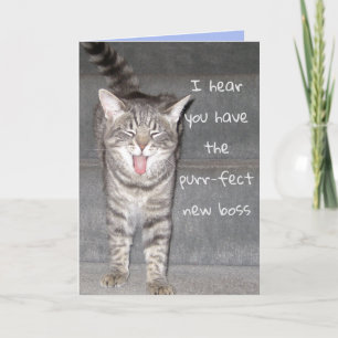Cartão de Aposentadoria Feliz de Gato Fofo
