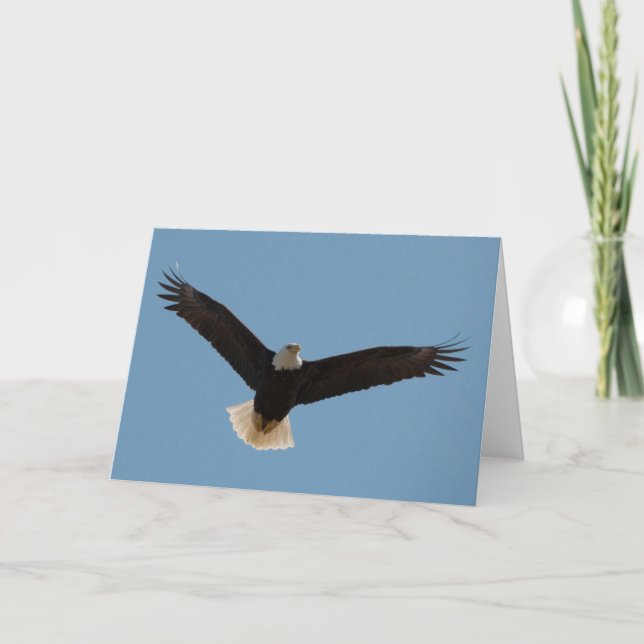 Cartão de Arte Balde Eagle com Quadro de Arranque (Frente)