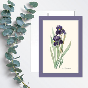 Cartão de Arte Botânica Purple Iris Germanica