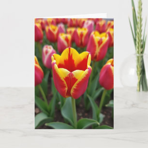 Cartão de Arte de Flor Brilhante