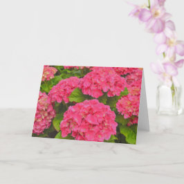 Cartão de Arte de Flor de Jardim Hortênsia Rosa