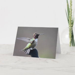 Cartão de Arte Frameável Hummingbird