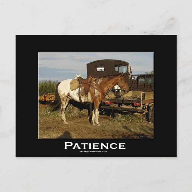 Cartão de Arte Motivacional de Equinos de Cavalo A (Frente)