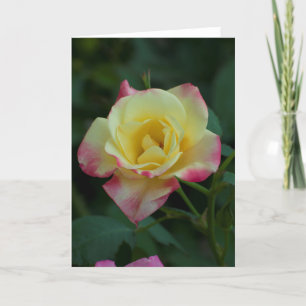 Cartão de Arte Quadro Amarelo + Rosa Rosa Rosa - C
