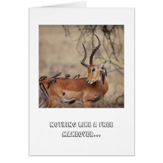 Cartão de assistência