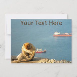 Cartão de Barramento de Gibraltar Personalizável