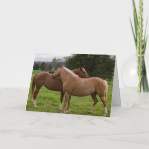 Cartão de Beleza Banheira