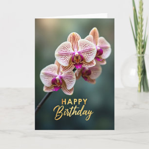 Cartão de Beleza de Orquídea Listrada