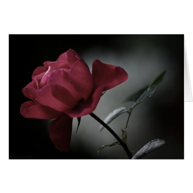 Cartão de beleza do amor (Frente horizontal)