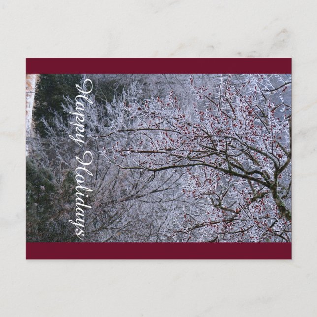 Cartão de Boas Festas (Frente)