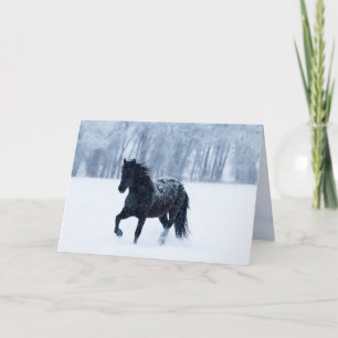 Cartão de Boas Festas Cavalo Preto na Neve