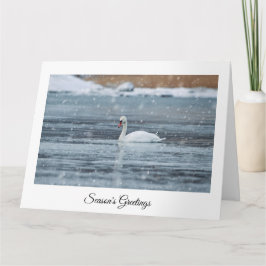 Cartão de Boas Festas com cisne branco na neve