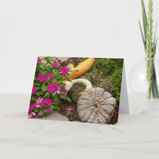 Cartão de Boas Festas de Abóboras e Impatiens (Frente)