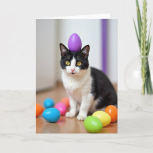 Cartão de Boas Festas de Felino Chique