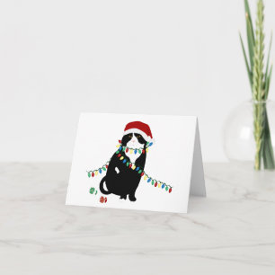 Cartão de Boas Festas de Gato Santa Fold Escocês