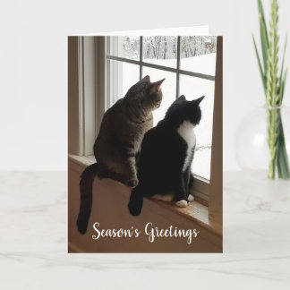 Cartão de Boas Festas de Gatos Preto Branco e List