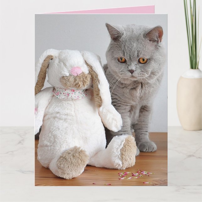 CARTÃO DE BOAS FESTAS DE PÁSCOA COM GATO (Frente)