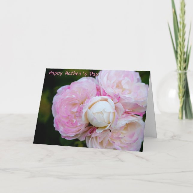 Cartão de Boas Festas do Dia das Mães Dobrado (Frente)