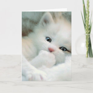 Cartão de Boas Festas - Gatinho Branco Fofinho
