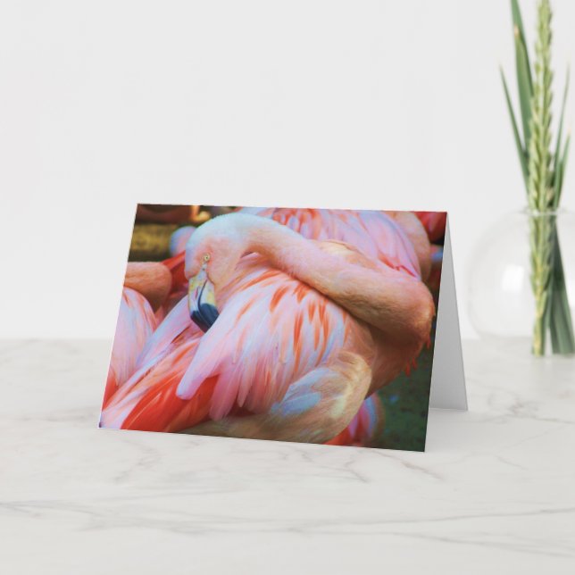 Cartão de Boas-Festas/Qualquer Ocasião_ Cartão (Frente)