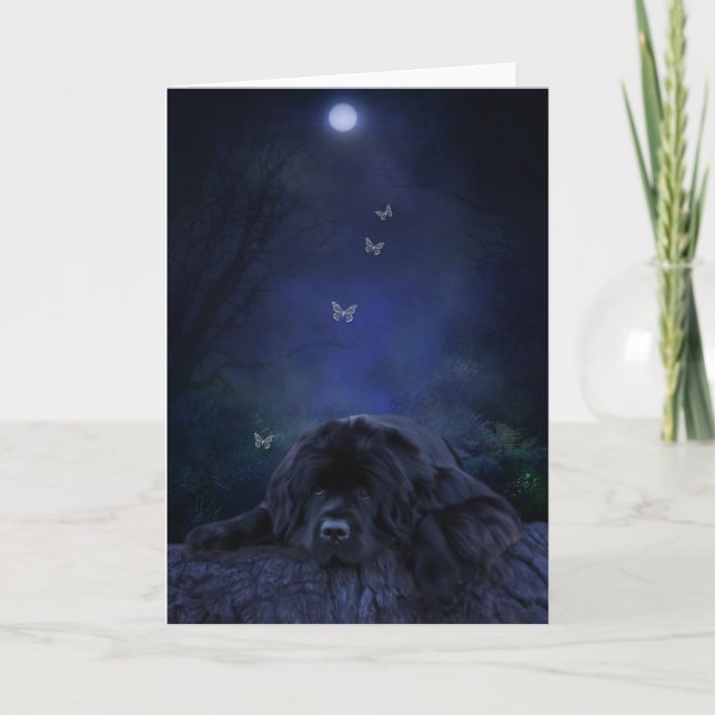 Cartão de boas-vindas à luz do luar (Frente)