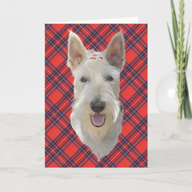 Cartão de Boas-vindas ao Scottish Terrier (Frente)