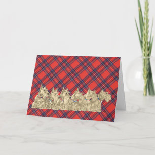 Cartão de Boas-vindas ao Wheaten Scottish Terrier