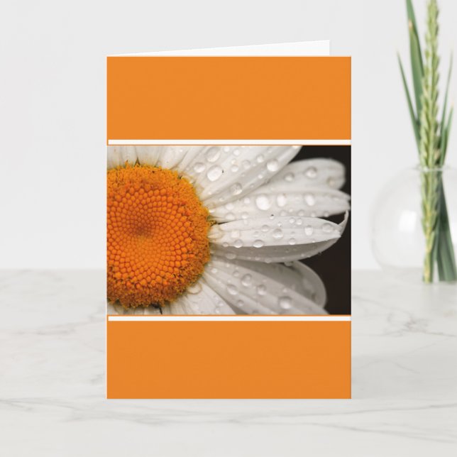 Cartão de Boas-vindas Branco Dobre Summer Daisy (Frente)