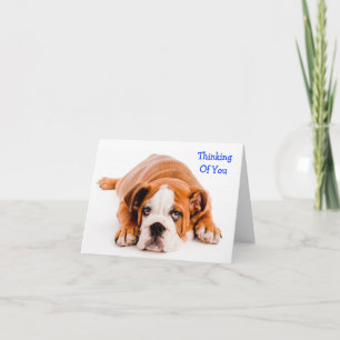 Cartão de Boas Vindas Bulldog Pensando em Você