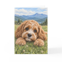 Cartão de Boas-Vindas Cavapoo