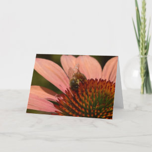 Cartão de Boas-Vindas com Abelha em Coneflower