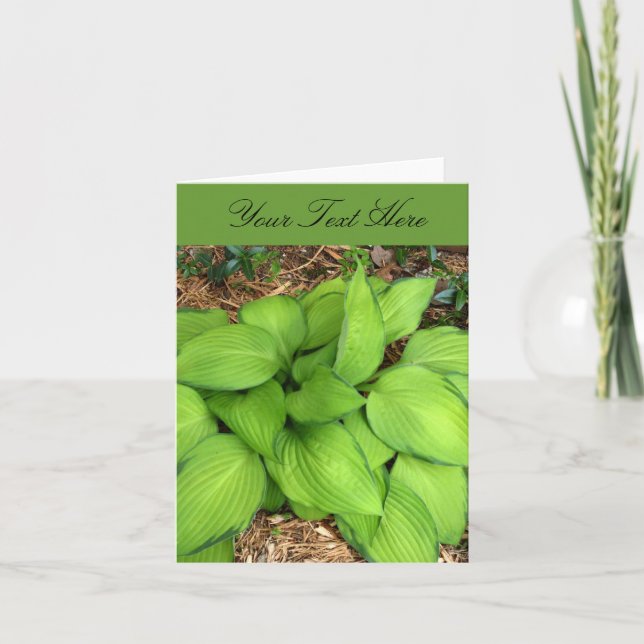 Cartão de Boas-Vindas com Folhas Verdes de Hosta (Frente)