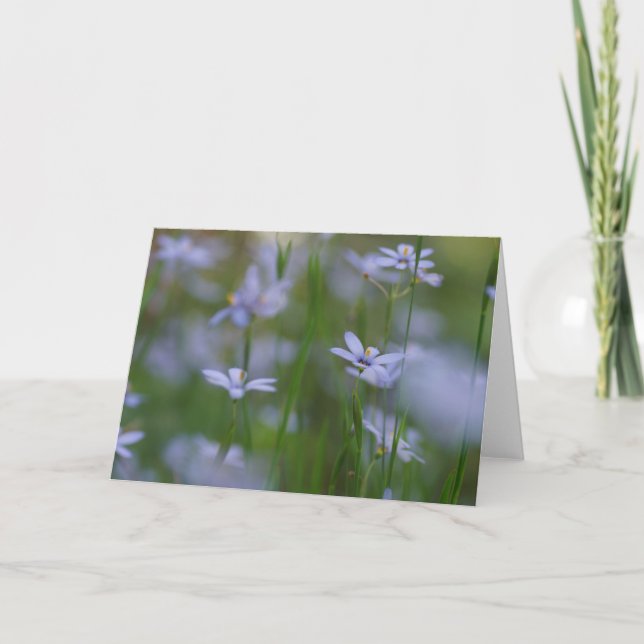 Cartão de Boas-vindas com Salmos 115:15 e Flores A (Frente)