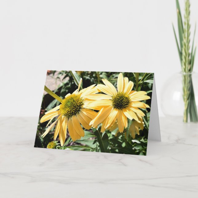 Cartão de Boas-vindas Coneflowers (Frente)