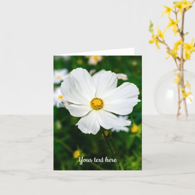 Cartão de Boas Vindas Cosmos Branco (Flor Amarela)