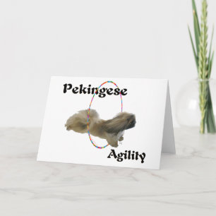 Cartão de Boas Vindas de Agilidade do Pequinês