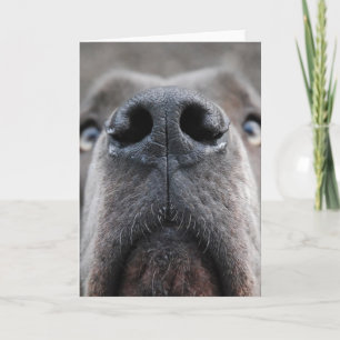 Cartão de Boas Vindas de Fotografia Personalizada