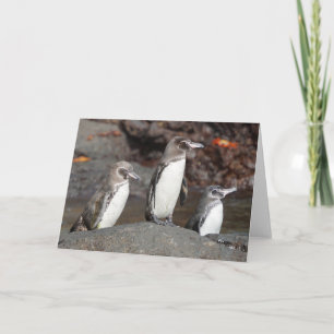 Cartão de Boas-Vindas Dobrado de Pinguins de Galáp