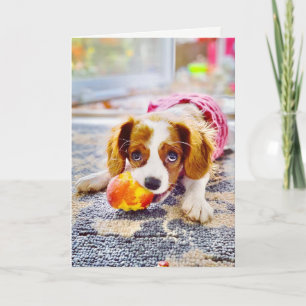 Cartão de Boas-Vindas em Branco com Cachorrinho Ca