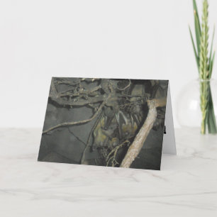 Cartão de Boas Vindas "Morcegos Frutíferos"