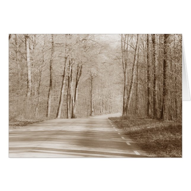 Cartão de boas-vindas para estradas florestais (Frente Horizontal)