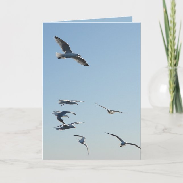 Cartão de Boas-Vindas Personalizável com Gaivotas  (Frente)
