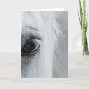 Cartão de Boas-Vindas Platinum Equine