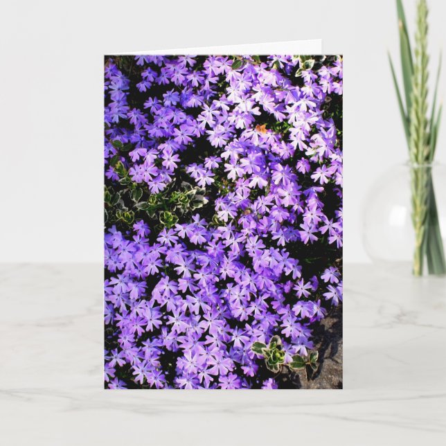 Cartão de Boas Vindas 'Purple Springtime' em Branc (Frente)
