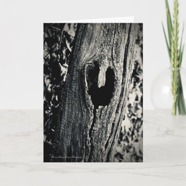 Cartão de Boas Vindas Seguindo Seu Coração Com Cit (Frente)