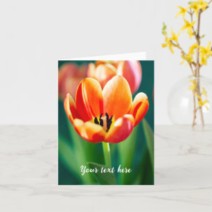 Cartão de Boas Vindas Tulipa Laranja